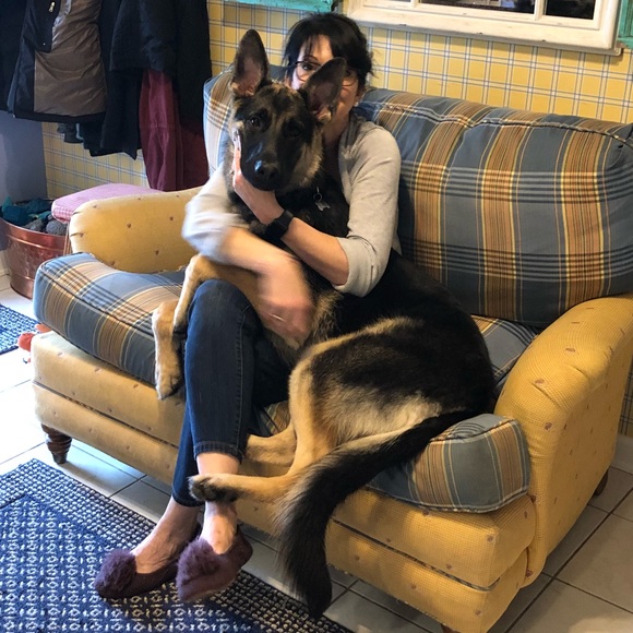 Welcome to my smoke free closet I welcome offers๐ - Picture 5 of 5